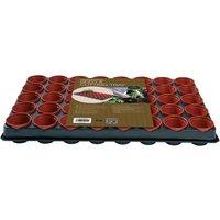 Worth Gardening Professional Seed and Cutting Tray, Black