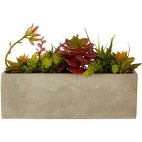 Premier Housewares Mixed Faux Succulents in Cement Pot, Grey