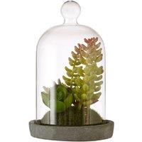 Premier Housewares Small Faux Succulent in Dome with Cement Base, Green