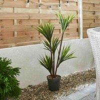 Smart Garden Dragon Tree Faux Plant