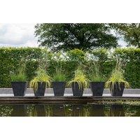 Ivyline Stone Ella Pot 29cm - Black, Black