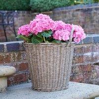 Ivyline Polyrattan Lined 49 x 44cm Natural Planter, Brown