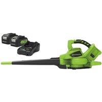 Greenworks 48v Cordless Blower & Vacuum w/Batteries, Charger, Black