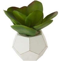 Interiors By Premier Faux Succulent Cement Pot - White, White