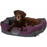 Bunty X-Large Anchor Bed - Purple, Purple