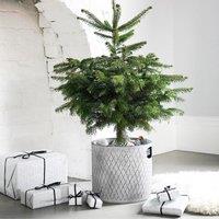 Ivyline Indoor Christmas Tree Bucket Zinc H23cm W23cm, Silver