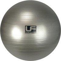UFE Urban Fitness 500Kg Burst Resistance Swiss Gym Ball (75Cm, Silver)