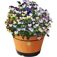 Vegtrug Medium Barrel 46cm - Peach, Pink