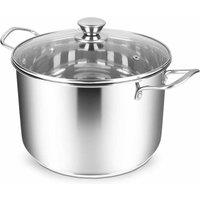 Penguin Home Stock Pot Stainless Steel Mirror Finish Large, Clear