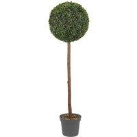 Faux Dcor Faux Decor Uno Topiary Tree - 120Cm - Green, Green