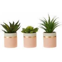 Interiors By Ph Set Of 3 Faux Succulents Lotus Aloe Vera/ Ceramic Pot Pink/Gold, Pink