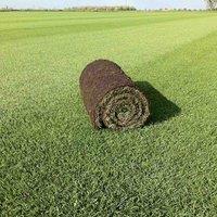 Harrowden Turf Premium Lawn Turf 10sqm, Green