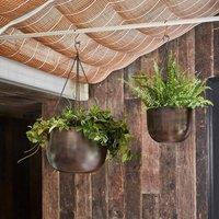 Ivyline Indoor Mayfair Mocha Hanging Planter - H21Cm X D30Cm, Brown