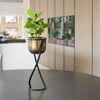 Ivyline Indoor Kensington Tall Brass Metal Round Planter, Yellow