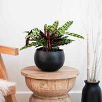 Ivyline Hammered Bowl Black/Copper - 19Cm, Multi