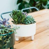 Ivyline Pisa White Bowl - H14Cm X D19Cm, White