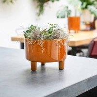 Ivyline Pisa Mustard Bowl - H14Cm X D19Cm, Yellow