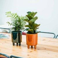 Ivyline Pisa Mustard Planter - H19Cm X D16Cm, Yellow
