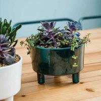 Ivyline Pisa Emerald Bowl - H14Cm X D19Cm, Green