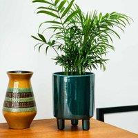 Ivyline Pisa Emerald Planter - H24Cm X D20Cm, Green