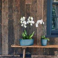 Ivyline Pula Recylable Planter Sapphire - H25Cm X D24Cm, Blue