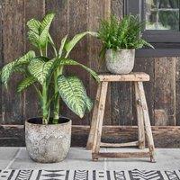Ivyline Albero Planter - H26Cm X D28Cm, Brown