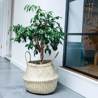 Ivyline Seagrass Chevron White Lined Basket Small - H25Cm X D30Cm, White