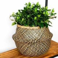 Ivyline Seagrass Chevron Black Lined Basket Small - H25Cm X D30Cm, Black