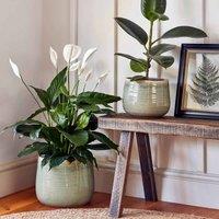 Ivyline Pot Como Mint - H17Cm D21Cm, Green