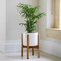 Ivyline Anzio Stone White Planter - H38.5Cm D24Cm, White
