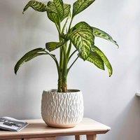 Ivyline Arles Leaf Embossed White Planter - H20Cm W22Cm, White