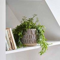 Ivyline Arles Leaf Embossed Mocha Planter - H17Cm D18Cm, Brown