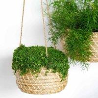 Ivyline Hanging Seagrass Planter Set Of 2, Multi