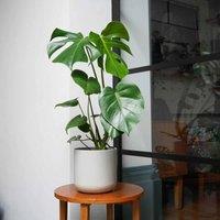 Ivyline Lisbon Planter Light Grey - H26Cm D26Cm, Grey
