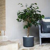 Ivyline Leon Granite Planter - D28Cm, Grey