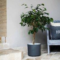 Ivyline Leon Granite Planter - D32Cm, Grey