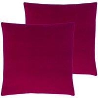 Evans Lichfield Sunningdale Twin Pack Polyester Filled Cushions Cerise 50 x 50cm, Pink