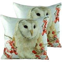 Evans Lichfield Christmas Owls Twin Pack Polyester Filled Cushions Multi, Multi