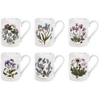 Portmeirion Botanic Garden Coffee Mug Set Of 6, Multi