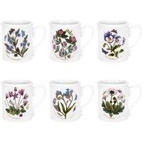 Portmeirion Botanic Garden Breakfast Mug Set Of 6, Multi
