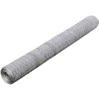 vidaXL Mesh Fence Galvanised Steel Hexagon 1X25 M Silver, Silver
