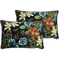 Evans Lichfield Midnight Garden Aquilegia Polyester Filled Cushions Twin Pack Teal 40 x 60cm, Blue