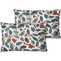 Paoletti Ashley Wilde Wick Polyester Filled Cushions Dove Steel, Orange