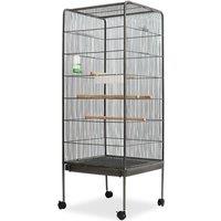 vidaXL Bird Cage 54X54X146cm Steel - Black, Black