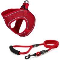 Bunty Voyage Harness X-Small Red and Clip-on Rope Lead Small Red, Red