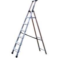 TB Davies 6 Tread Maxi Platform Step Ladder, Silver
