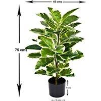Greenbrokers Artificial Rubber Plant In Pot 75Cm 2Ft, Green