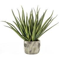 Crossland Grove Aloe W Bark Effect Pot 350X350X530Mm, Green