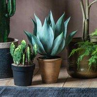 Crossland Grove Aloe Wide Leaf 560X560X560Mm, Green