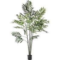 Crossland Grove Areca Palm Tree Large 960X960X1520Mm, Green